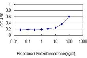 Detection limit for recombinant GST tagged NFE2L2 is approximately 3ng/ml as a capture antibody. (NRF2 antibody  (AA 71-170))