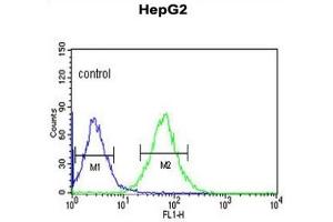 Flow Cytometry (FACS) image for anti-Alkaline Ceramidase 3 (ACER3) antibody (ABIN3003980) (ACER3 antibody)