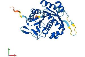 Protein Structure (PS) image for Nucleotide Binding Protein 2 (NUBP2) (AA 1-271) protein (His tag) (ABIN7549995)