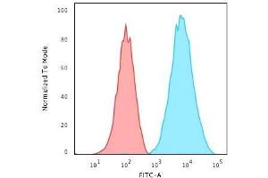 Flow Cytometric Analysis of Raji cells. (HLA-DRB1 antibody)