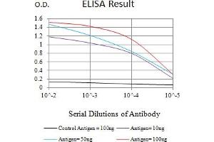 Black line: Control Antigen (100 ng),Purple line: Antigen (10 ng), Blue line: Antigen (50 ng), Red line:Antigen (100 ng) (CNN3 antibody  (AA 26-130))