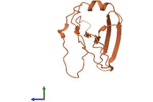 AlphaFold protein structure predicition of Human Recombinant FAM223A Protein, UniprotID Q8IWN6 (FAM223A Protein (AA 1-122) (His tag))