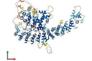 AlphaFold protein structure predicition of Human Recombinant ABTB2 Protein, UniprotID Q8N961
