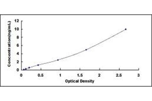 LOXL4 ELISA Kit