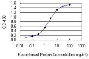 Detection limit for recombinant GST tagged FBXO2 is 0. (FBXO2 antibody  (AA 1-296))