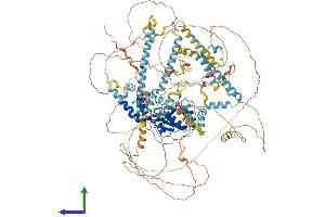 Protein Structure (PS) image for DNA Repair Protein Complementing XP-G Cells (ERCC5) (AA 1-1170) protein (His tag) (ABIN7563184)