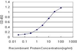 Detection limit for recombinant GST tagged PCDHGA5 is approximately 0. (PCDHGA5 antibody  (AA 205-304))