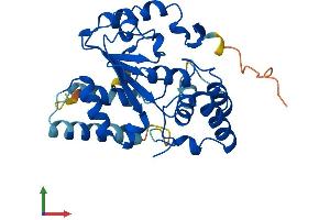 AlphaFold protein structure predicition of Human Recombinant SULT4A1 Protein, UniprotID Q9BR01 (SULT4A1 Protein (AA 1-284) (His tag))