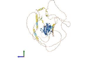 AlphaFold protein structure predicition of Human Recombinant PPIG Protein, UniprotID Q13427