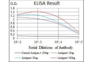 ELISA image for anti-Neurofilament, Heavy Polypeptide (NEFH) (AA 968-1020) antibody (ABIN1844517) (NEFH antibody  (AA 968-1020))