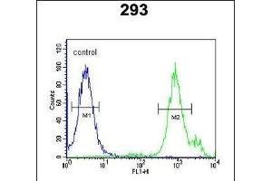 SLC9A9 Antibody (C-term) (ABIN651604 and ABIN2840319) flow cytometric analysis of 293 cells (right histogram) compared to a negative control cell (left histogram). (SLC9A9 antibody  (C-Term))