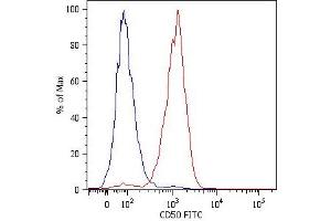 Surface staining of JURKAT humanleukemia T cell line with anti-human CD50 (MEM-171) FITC. (ICAM-3/CD50 antibody  (Biotin))