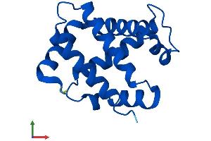 AlphaFold protein structure predicition of Human Recombinant HBQ1 Protein, UniprotID P09105