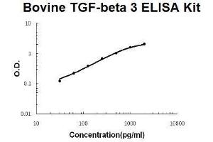 Bovine TGF-beta 3 PicoKine ELISA Kit standard curve