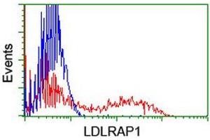 Flow Cytometry (FACS) image for anti-Low Density Lipoprotein Receptor Adaptor Protein 1 (LDLRAP1) antibody (ABIN1496687) (LDLRAP1 antibody)