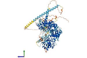 AlphaFold protein structure predicition of Human Recombinant DDX12P Protein, UniprotID Q92771 (DDX12P Protein (AA 1-950) (His tag))