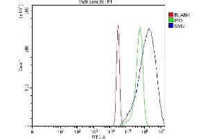 Flow Cytometry analysis of A431 cells using anti-SMS antibody (ABIN7599638).