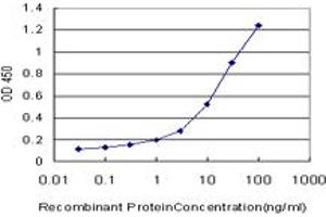 Detection limit for recombinant GST tagged KIF26A is approximately 0. (KIF26A antibody  (AA 1-203))