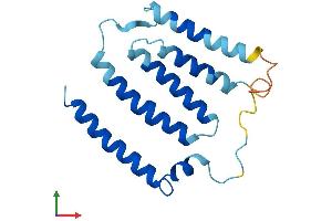 AlphaFold protein structure predicition of Human Recombinant MT-ND6 Protein, UniprotID P03923 (MT-ND6 Protein (AA 1-174) (His tag))