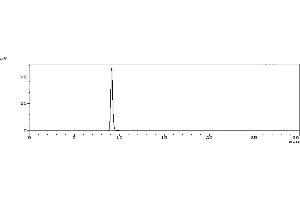 anti-Fibronectin (FN) antibody