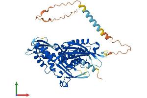 AlphaFold protein structure predicition of Human Recombinant ENTPD6 Protein, UniprotID O75354