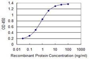 Detection limit for recombinant GST tagged NDUFA8 is 0. (NDUFA8 antibody  (AA 1-72))