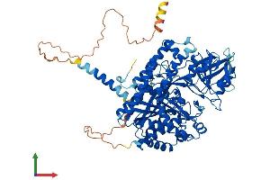 Protein Structure (PS) image for Transferrin Receptor (p90, CD71) (TFRC) (AA 1-760) protein (His tag) (ABIN7555757)
