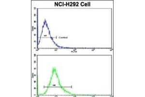 Flow cytometric analysis of NCI- cells using ELF4 Antibody (Center)(bottom histogram) compared to a negative control cell (top histogram). (Elf4 antibody  (AA 211-237))