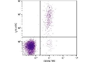 Human peripheral blood lymphocytes were stained with Mouse Anti-Human IgM-APC. (Mouse anti-Human IgM Antibody (APC))