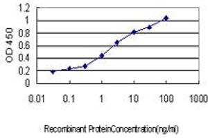 Detection limit for recombinant GST tagged IRF1 is approximately 0. (IRF1 antibody  (AA 216-325))