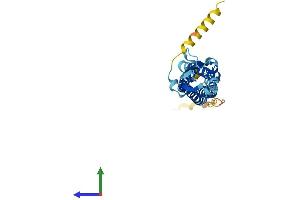 AlphaFold protein structure predicition of Human Recombinant SYPL1 Protein, UniprotID Q16563