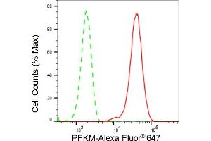 Flow cytometric analysis of PFKM expression in HepG2 cells using PFKM antibody (ABIN7799801), 1:2,000).