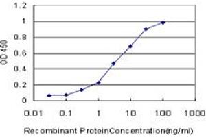 Detection limit for recombinant GST tagged BOLL is approximately 0. (BOLL antibody  (AA 185-283))