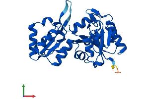 AlphaFold protein structure predicition of Human Recombinant HDHD2 Protein, UniprotID Q9H0R4