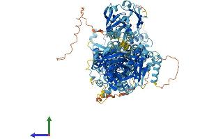 AlphaFold protein structure predicition of Human Recombinant ATP8B4 Protein, UniprotID Q8TF62