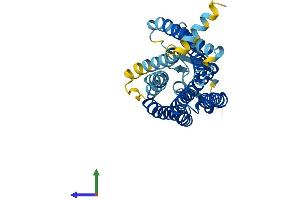 AlphaFold protein structure predicition of Human Recombinant OR13C7 Protein, UniprotID P0DN81 (OR13C7 Protein (AA 1-318) (His tag))