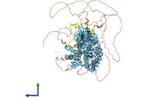 AlphaFold protein structure predicition of Human Recombinant SLC4A7 Protein, UniprotID Q9Y6M7 (SLC4A7 Protein (AA 1-1214) (His tag))