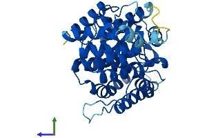 Protein Structure (PS) image for ADP-Ribosylhydrolase Like 1 (ADPRHL1) (AA 1-353) protein (His tag) (ABIN7558563)