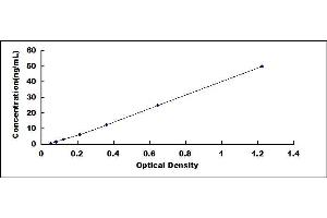 Typical standard curve (IRAK3 ELISA Kit)