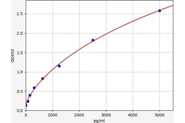 CD83 ELISA Kit