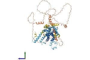 Protein Structure (PS) image for Putative Homeodomain Transcription Factor 1 (PHTF1) (AA 1-761) protein (His tag) (ABIN7561807)