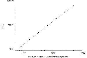 Typical standard curve (HTRA1 CLIA Kit)