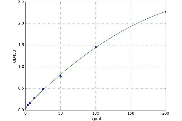 Anti-Thyroid-Globulin Antibody (TGAB) ELISA Kit