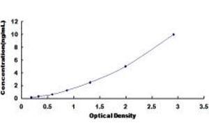 Typical standard curve (CD19 ELISA Kit)