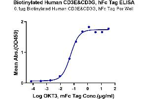 Immobilized Biotinylated Human CD3E&CD3G, hFc Tag at 1 μg/mL (100 μL/Well) on streptavidin (5 μg/mL) precoated plate.