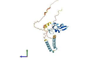 AlphaFold protein structure predicition of Mouse Recombinant Rnf186 Protein, UniprotID Q9D241