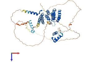 TRF2 Protein (AA 1-541) (His tag)