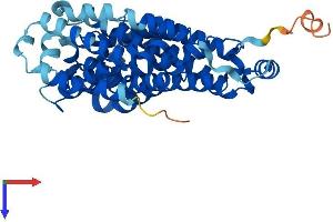 AlphaFold protein structure predicition of Mouse Recombinant Tm6sf2 Protein, UniprotID Q8R1J1 (TM6SF2 Protein (AA 1-378) (His tag))