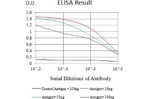 Black line: Control Antigen (100 ng),Purple line: Antigen (10 ng), Blue line: Antigen (50 ng), Red line:Antigen (100 ng) (LTBR antibody  (AA 31-227))