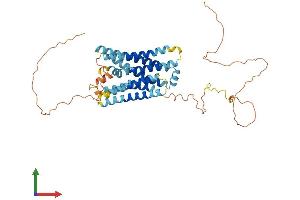 AlphaFold protein structure predicition of Human Recombinant GPR137C Protein, UniprotID Q8N3F9 (GPR137C Protein (AA 1-429) (His tag))